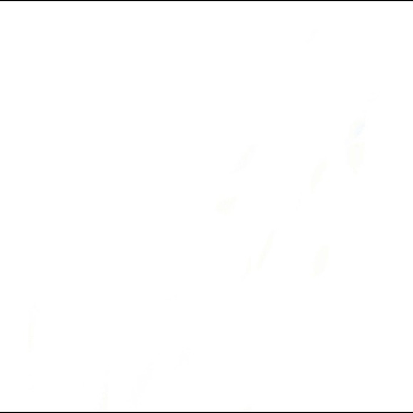 arorobson